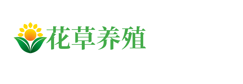 四川省巴中市南江县树幕纺织废料处理设施股份公司